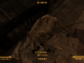 FalloutNV 2012-05-14 18-02-58-87.png